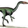 Segisaurus halli