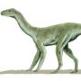 Silesaurus opolensis