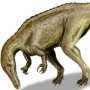 Suchomimus