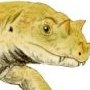 Tetraceratops insignis