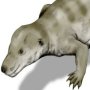 Thrinaxodon liorhinus