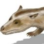 Tritylodon