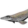 Tylosaurus