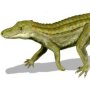 Uberabasuchus