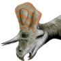 Zuniceratops