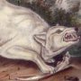 White American Wolf - Grey Wolf