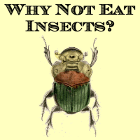 logo for Why Not Eat Insects?